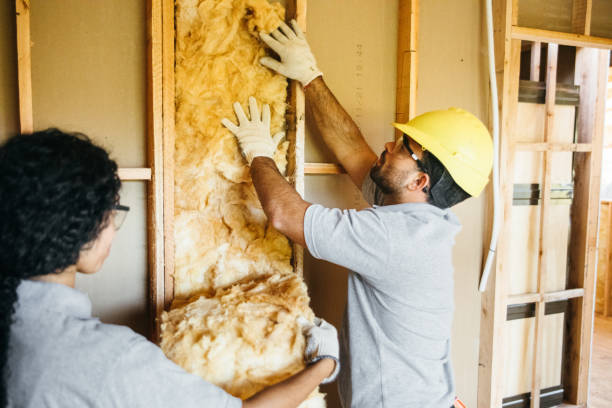 Best Batt and Roll Insulation  in Aberdeen, MD