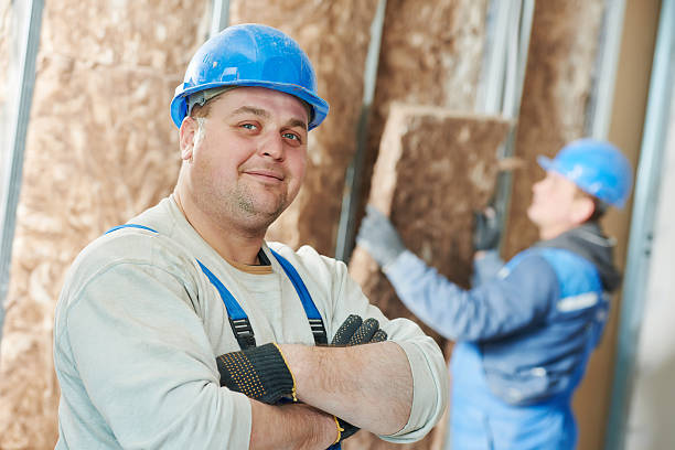 Best Eco-Friendly or Green Insulation Solutions  in Aberdeen, MD